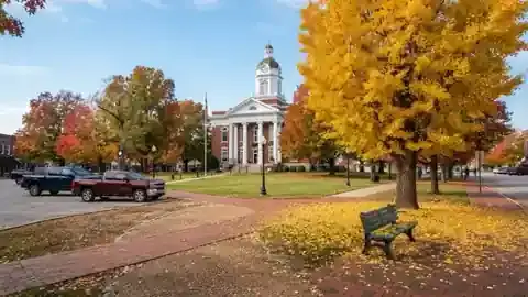A tidy small-town courthouse square with old trees in autumn colors, brick buildings and an empty green bench on the corner under a golden ginkgo